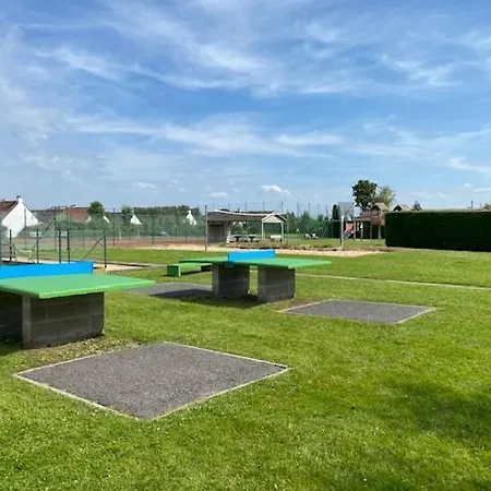 Jonathan Livingston Seagull De Panne