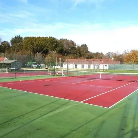 Jonathan Livingston Seagull