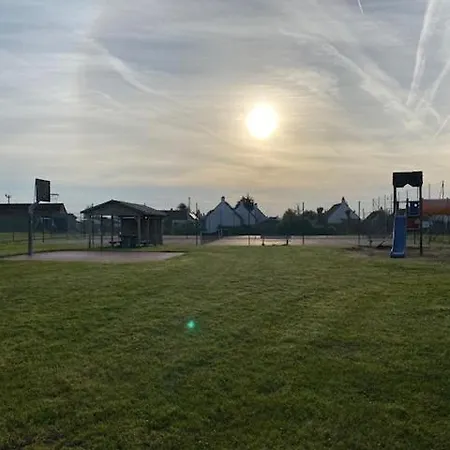 Jonathan Livingston Seagull