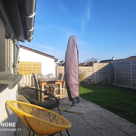 Jonathan Livingston Seagull De Panne