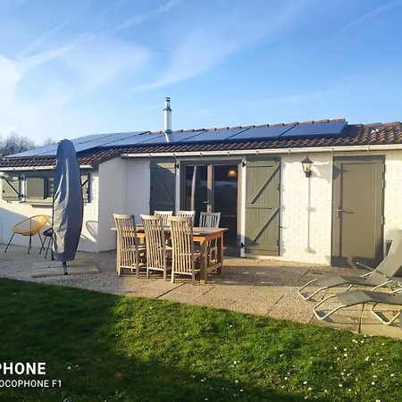 Jonathan Livingston Seagull