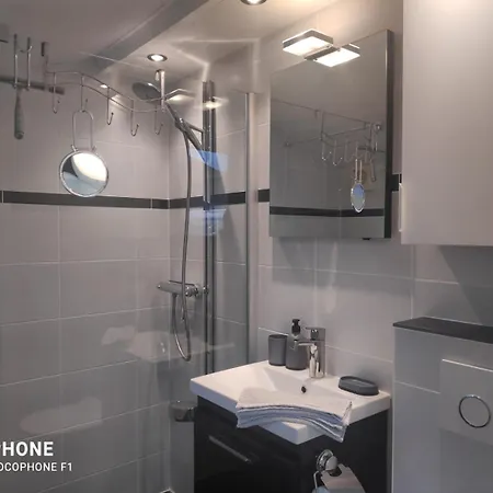 Jonathan Livingston Seagull De Panne